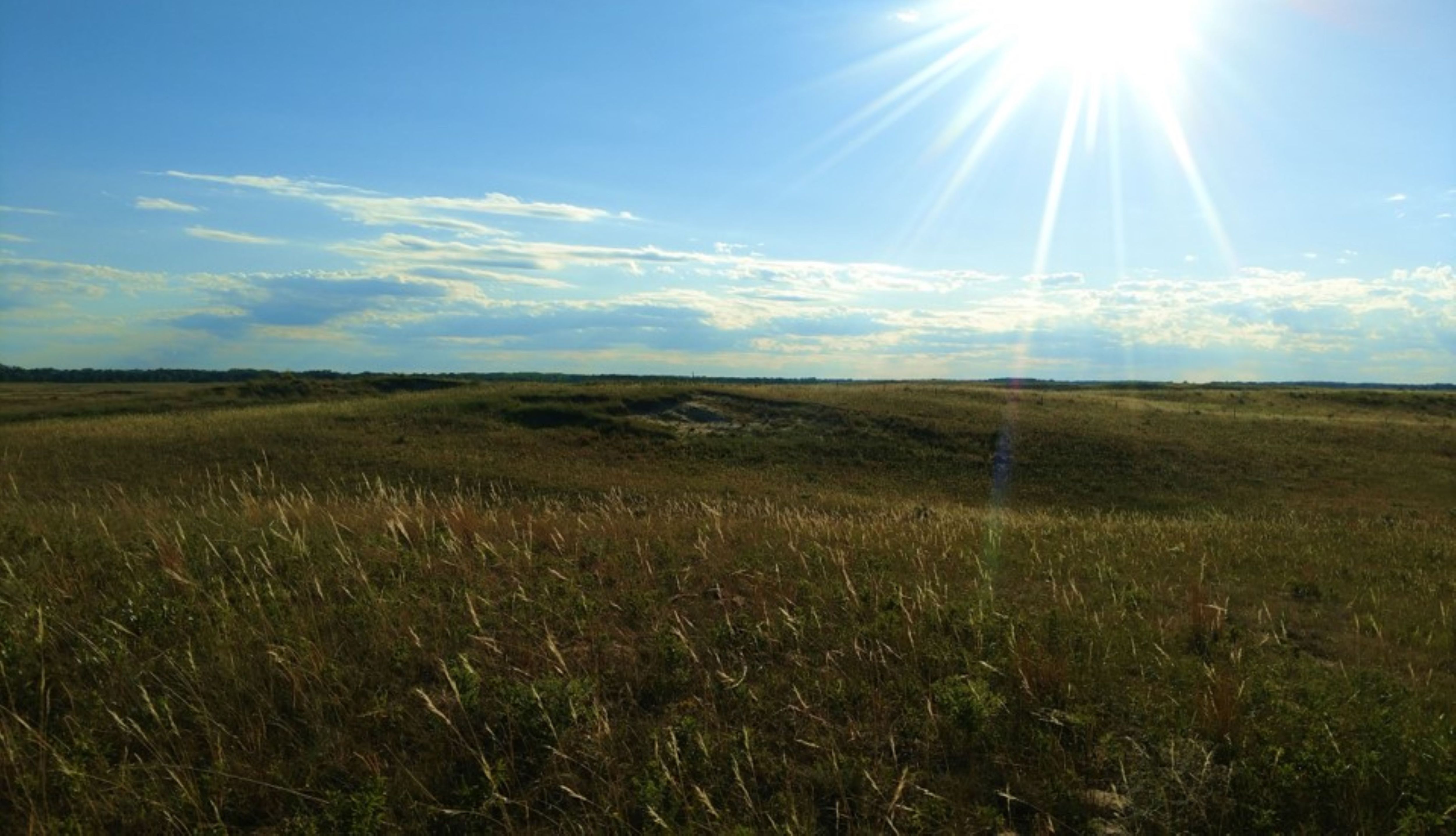 Listing Photo: holt-county-ne-400-acres-pasture